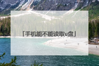 手机能不能读取u盘