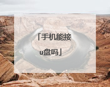手机能接u盘吗
