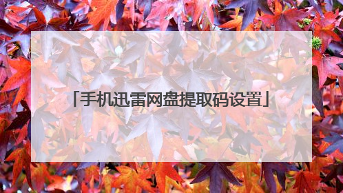 手机迅雷网盘提取码设置