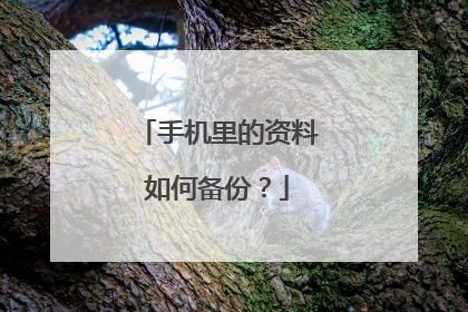 手机里的资料如何备份?
