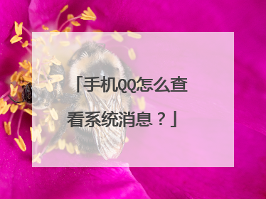 手机QQ怎么查看系统消息?