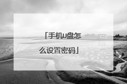 手机U盘怎么设置密码
