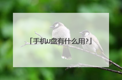 手机U盘有什么用?