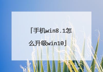 手机win8.1怎么升级win10