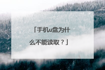 手机u盘为什么不能读取?