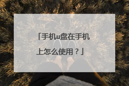 手机u盘在手机上怎么使用?