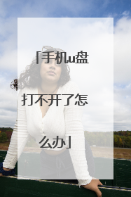 手机u盘打不开了怎么办