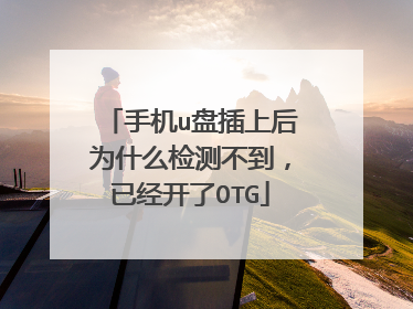 手机u盘插上后为什么检测不到，已经开了OTG