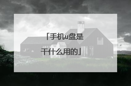 手机u盘是干什么用的