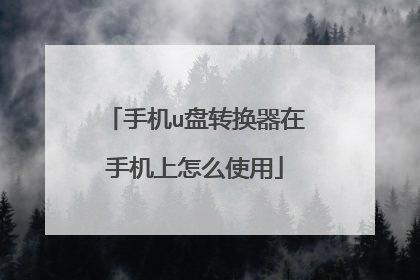 手机u盘转换器在手机上怎么使用