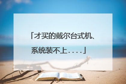才买的戴尔台式机、系统装不上....