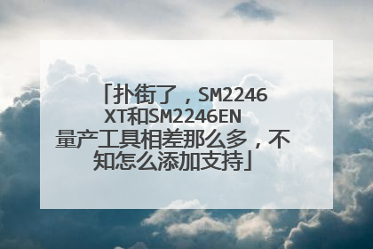 扑街了,SM2246XT和SM2246EN量产工具相差那么多,不知怎么添加支持