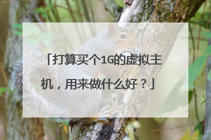 打算买个1G的虚拟主机,用来做什么好?