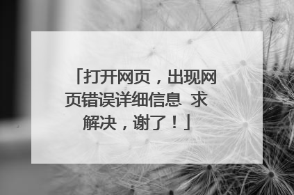 打开网页,出现网页错误详细信息 求解决,谢了!