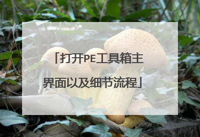 打开PE工具箱主界面以及细节流程
