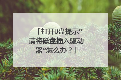 打开U盘提示“请将磁盘插入驱动器”怎么办?