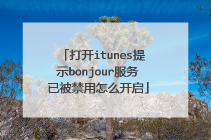 打开itunes提示bonjour服务已被禁用怎么开启