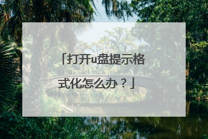 打开u盘提示格式化怎么办?