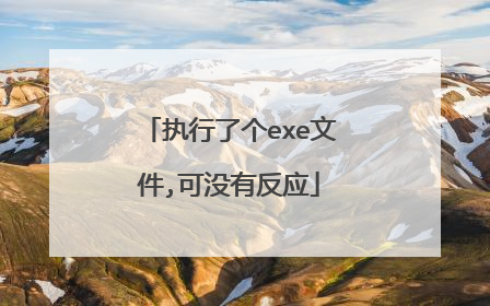 执行了个exe文件,可没有反应
