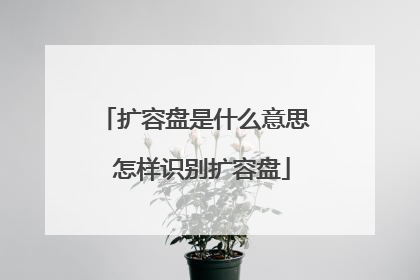 扩容盘是什么意思 怎样识别扩容盘