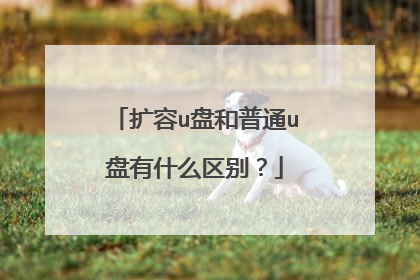 扩容u盘和普通u盘有什么区别?