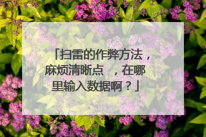 扫雷的作弊方法，麻烦清晰点 ，在哪里输入数据啊？