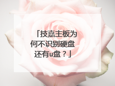 技嘉主板为何不识别硬盘还有u盘?