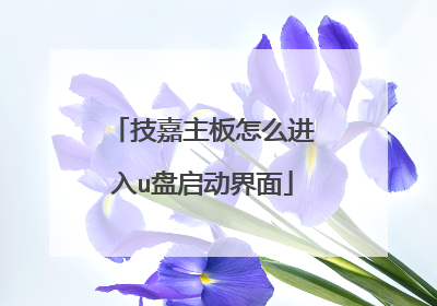 技嘉主板怎么进入u盘启动界面