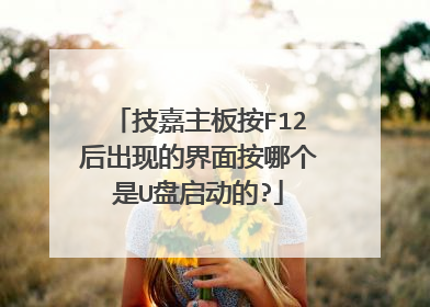 技嘉主板按F12后出现的界面按哪个是U盘启动的?