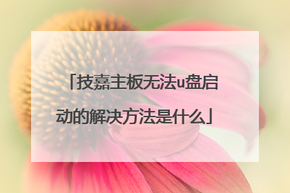 技嘉主板无法u盘启动的解决方法是什么