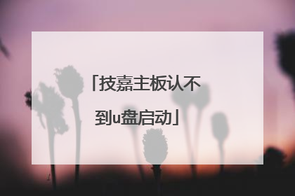 技嘉主板认不到u盘启动