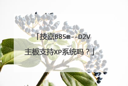 技嘉B85m--D2V主板支持XP系统吗?