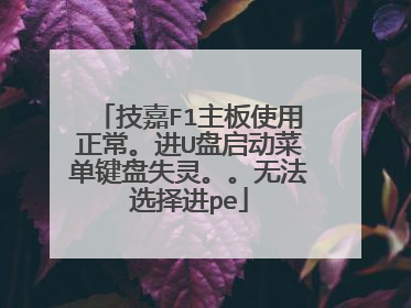 技嘉F1主板使用正常。进U盘启动菜单键盘失灵。。无法选择进pe