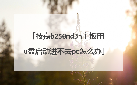 技嘉b250md3h主板用u盘启动进不去pe怎么办