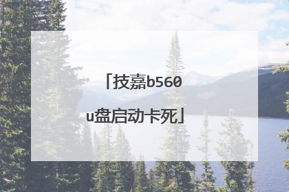技嘉b560u盘启动卡死