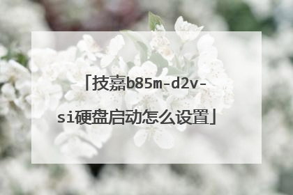技嘉b85m-d2v-si硬盘启动怎么设置