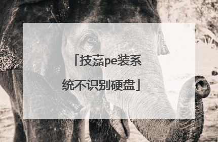 技嘉pe装系统不识别硬盘