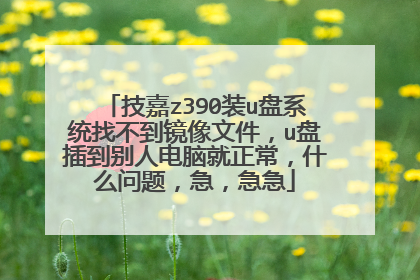 技嘉z390装u盘系统找不到镜像文件,u盘插到别人电脑就正常,什么问题,急,急急