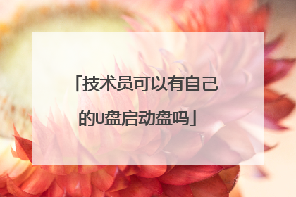 技术员可以有自己的U盘启动盘吗