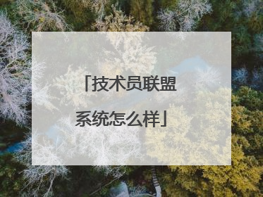 技术员联盟系统怎么样