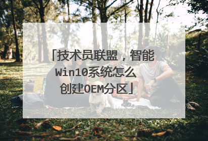 技术员联盟,智能Win10系统怎么创建OEM分区
