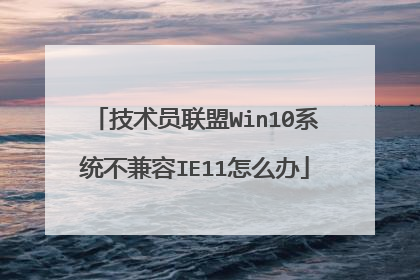 技术员联盟Win10系统不兼容IE11怎么办