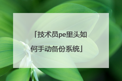 技术员pe里头如何手动备份系统