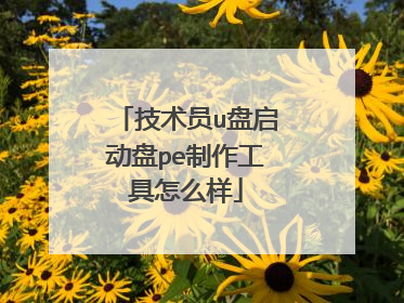 技术员u盘启动盘pe制作工具怎么样