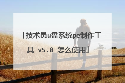 技术员u盘系统pe制作工具 v5.0 怎么使用