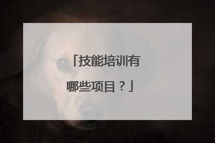 技能培训有哪些项目?