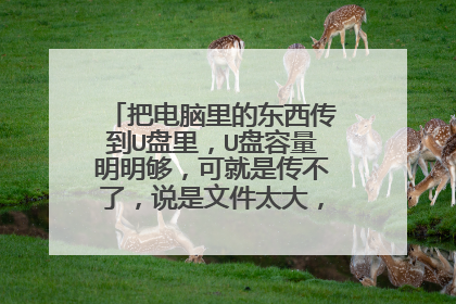 把电脑里的东西传到U盘里,U盘容量明明够,可就是传不了,说是文件太大,求解决办法!
