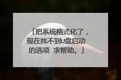 把系统格式化了,现在找不到U盘启动的选项 求帮助。
