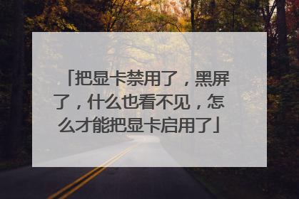 把显卡禁用了,黑屏了,什么也看不见,怎么才能把显卡启用了