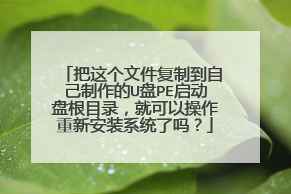 把这个文件复制到自己制作的U盘PE启动盘根目录,就可以操作重新安装系统了吗?